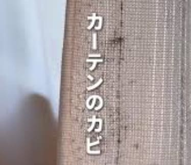 カーテンの黒カビ